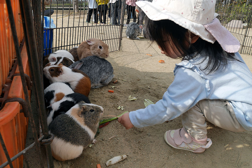 移動動物園